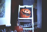 �A�����J�̃W���������^���I